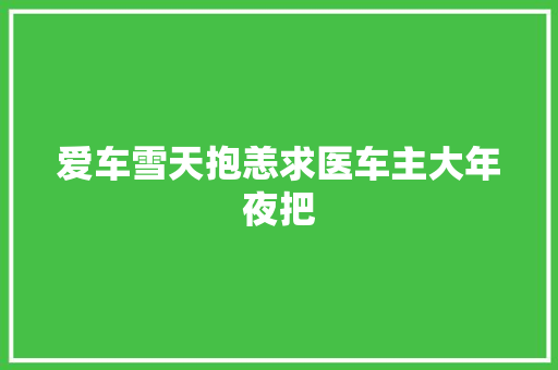 爱车雪天抱恙求医车主大年夜把