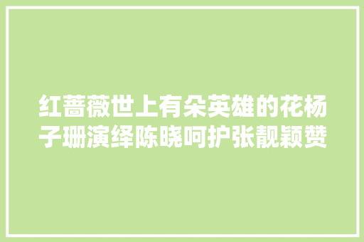 红蔷薇世上有朵英雄的花杨子珊演绎陈晓呵护张靓颖赞扬