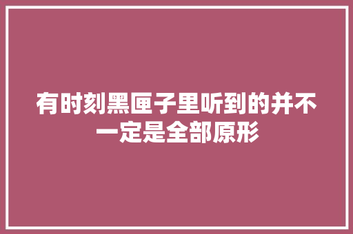 有时刻黑匣子里听到的并不一定是全部原形