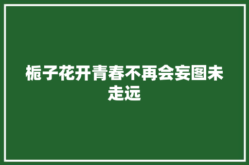 栀子花开青春不再会妄图未走远
