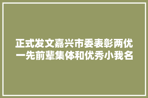 正式发文嘉兴市委表彰两优一先前辈集体和优秀小我名单出炉 汽车知识