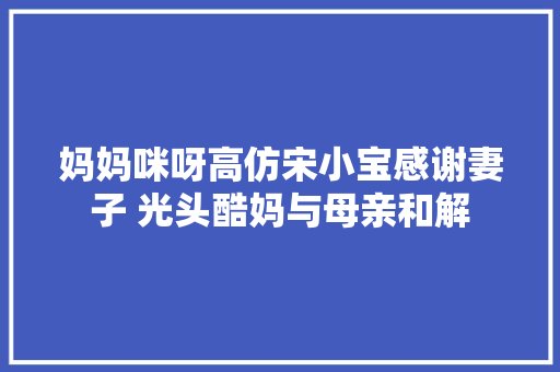 妈妈咪呀高仿宋小宝感谢妻子 光头酷妈与母亲和解