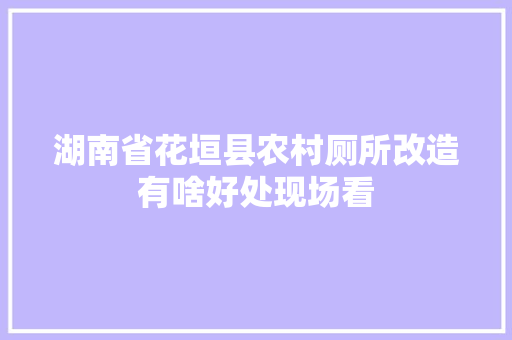 湖南省花垣县农村厕所改造有啥好处现场看