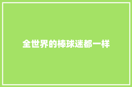 全世界的棒球迷都一样 休闲娱乐