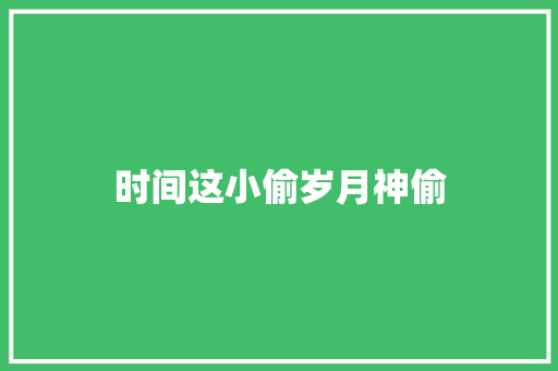时间这小偷岁月神偷