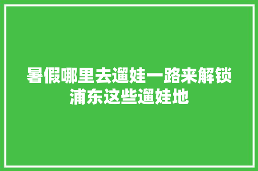 暑假哪里去遛娃一路来解锁浦东这些遛娃地