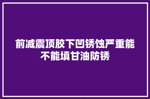 前减震顶胶下凹锈蚀严重能不能填甘油防锈