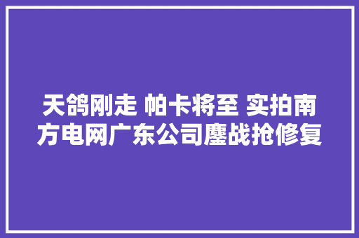天鸽刚走 帕卡将至 实拍南方电网广东公司鏖战抢修复电