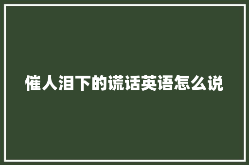 催人泪下的谎话英语怎么说