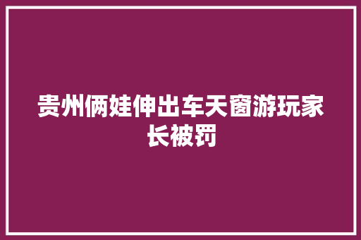 贵州俩娃伸出车天窗游玩家长被罚