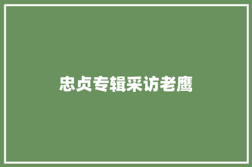 忠贞专辑采访老鹰