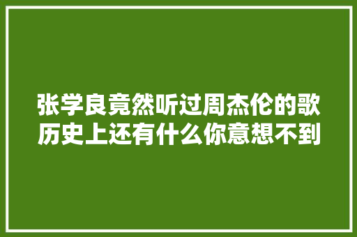 张学良竟然听过周杰伦的歌历史上还有什么你意想不到的事