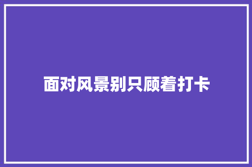 面对风景别只顾着打卡