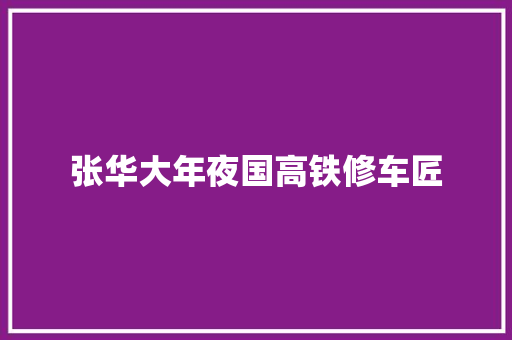 张华大年夜国高铁修车匠