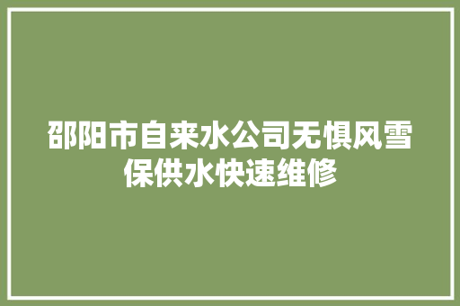 邵阳市自来水公司无惧风雪保供水快速维修