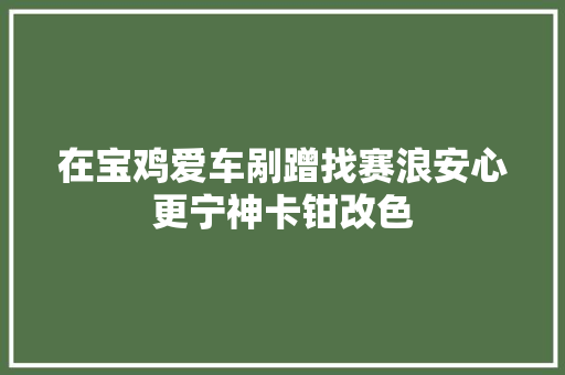 在宝鸡爱车剐蹭找赛浪安心更宁神卡钳改色