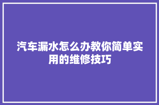 汽车漏水怎么办教你简单实用的维修技巧