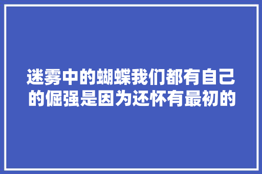 迷雾中的蝴蝶我们都有自己的倔强是因为还怀有最初的妄图