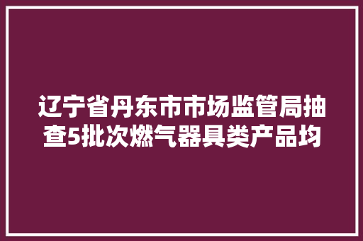 辽宁省丹东市市场监管局抽查5批次燃气器具类产品均相符标准要求