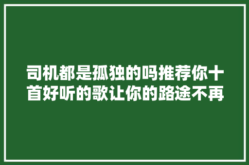 司机都是孤独的吗推荐你十首好听的歌让你的路途不再寂寞