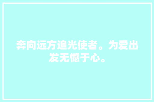 奔向远方追光使者。为爱出发无憾于心。