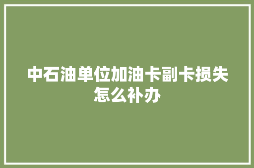 中石油单位加油卡副卡损失怎么补办