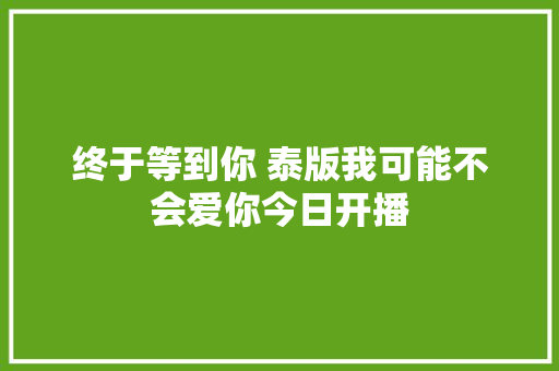 终于等到你 泰版我可能不会爱你今日开播