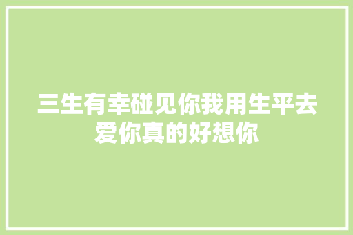 三生有幸碰见你我用生平去爱你真的好想你
