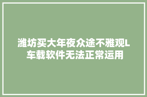 潍坊买大年夜众途不雅观L 车载软件无法正常运用