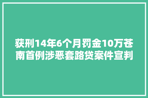 获刑14年6个月罚金10万苍南首例涉恶套路贷案件宣判