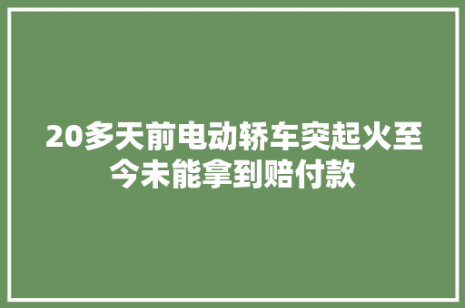 20多天前电动轿车突起火至今未能拿到赔付款
