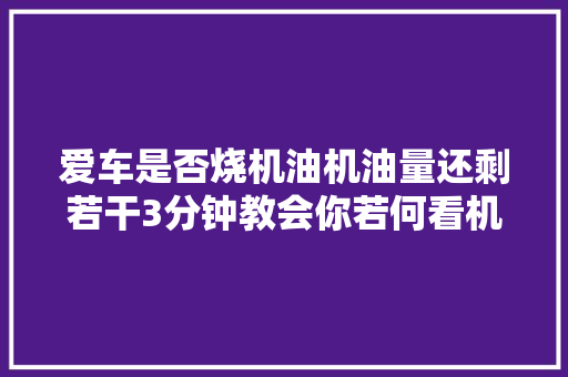 爱车是否烧机油机油量还剩若干3分钟教会你若何看机油