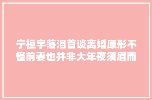 宁桓宇落泪首谈离婚原形不怪前妻也并非大年夜须眉而是没钱