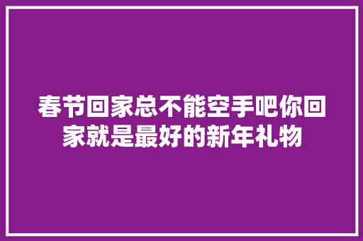 春节回家总不能空手吧你回家就是最好的新年礼物