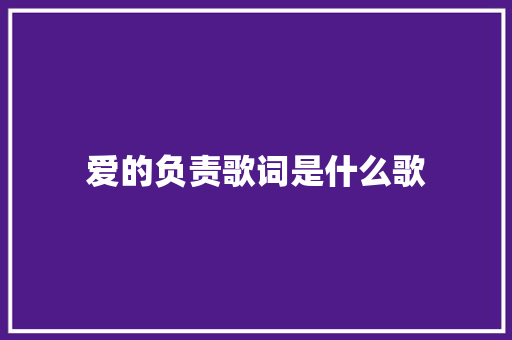 爱的负责歌词是什么歌