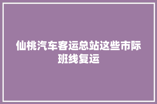 仙桃汽车客运总站这些市际班线复运
