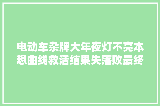 电动车杂牌大年夜灯不亮本想曲线救活结果失落败最终全丢了