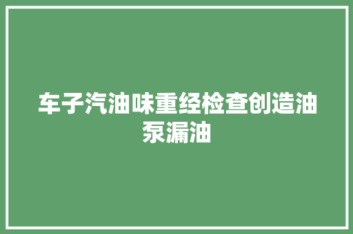 车子汽油味重经检查创造油泵漏油
