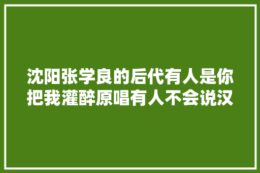 沈阳张学良的后代有人是你把我灌醉原唱有人不会说汉语
