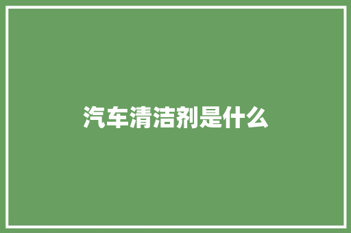 汽车清洁剂是什么