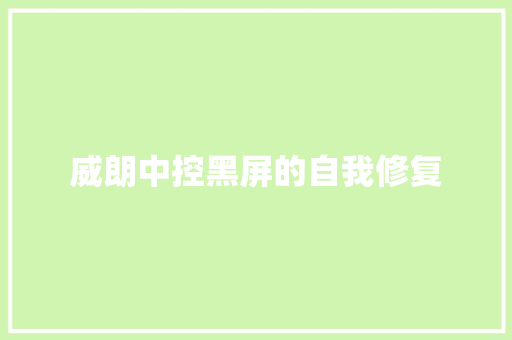 威朗中控黑屏的自我修复