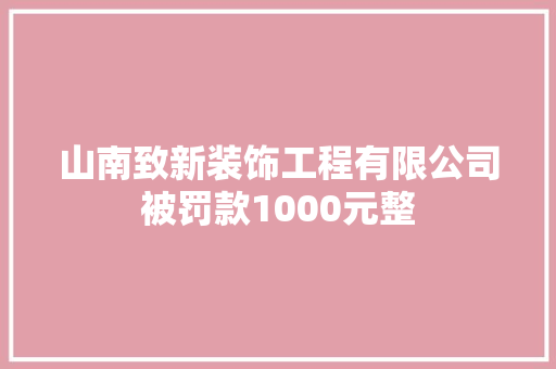 山南致新装饰工程有限公司被罚款1000元整