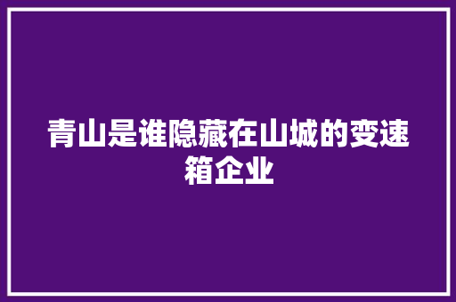 青山是谁隐藏在山城的变速箱企业