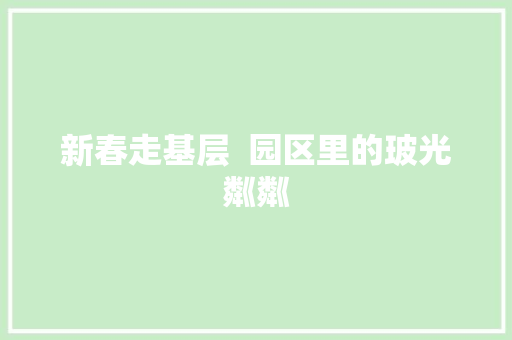 新春走基层  园区里的玻光粼粼