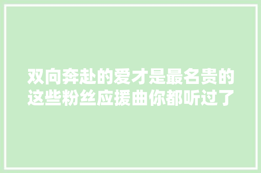 双向奔赴的爱才是最名贵的这些粉丝应援曲你都听过了吗