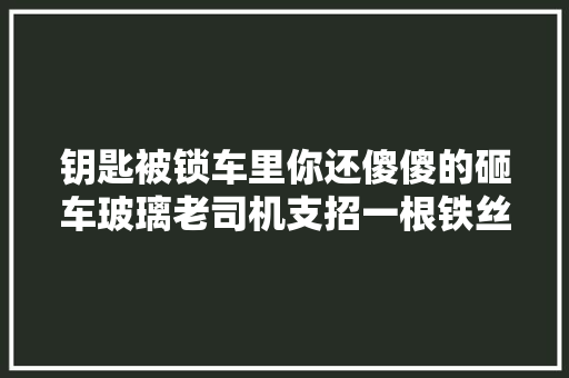 钥匙被锁车里你还傻傻的砸车玻璃老司机支招一根铁丝就搞定