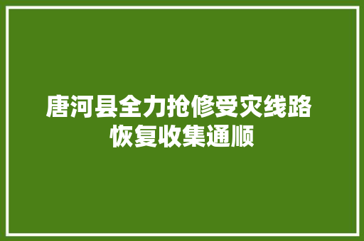 唐河县全力抢修受灾线路 恢复收集通顺