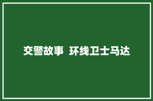 交警故事  环线卫士马达