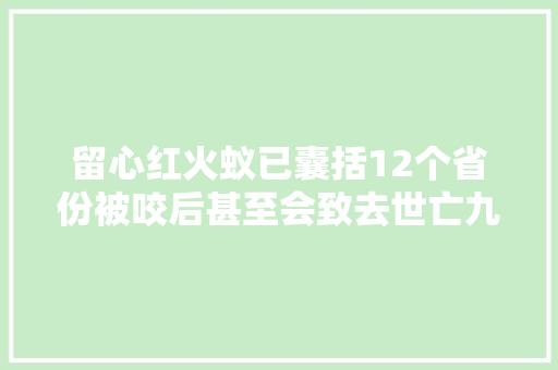 留心红火蚁已囊括12个省份被咬后甚至会致去世亡九部门联合出击
