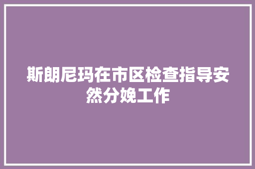 斯朗尼玛在市区检查指导安然分娩工作